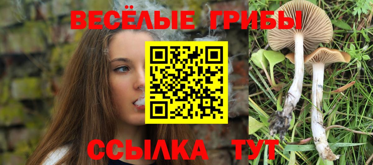 сколько стоит  Вход с VPN  Орёл  Псилоцибиновые грибы MAGIC MUSHROOMS 
