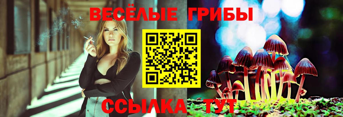 Галлюциногенные грибы Magic Shrooms Орёл